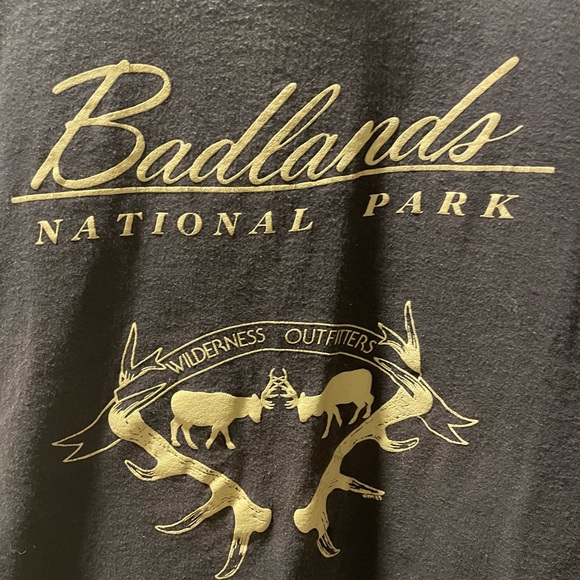Vintage National Park Cropped Tee - Picture 2 of 3